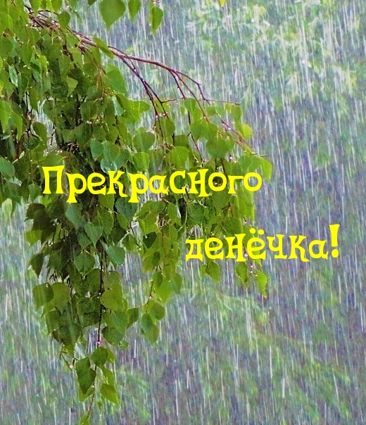 Прекрасного денечка!
