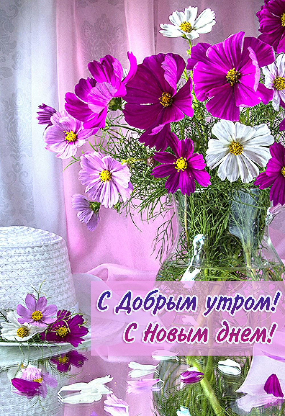 С Добрым утром! С Новым днём!