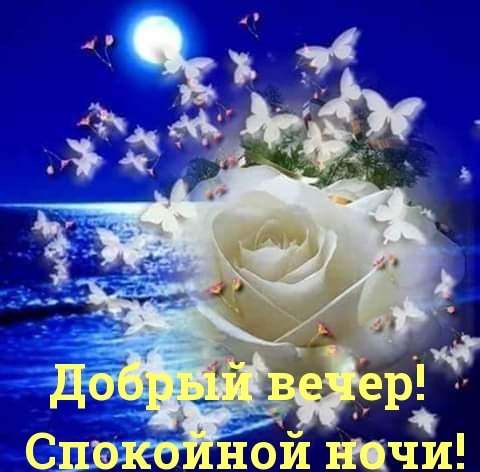 Добрый вечер! Спокойной ночи!