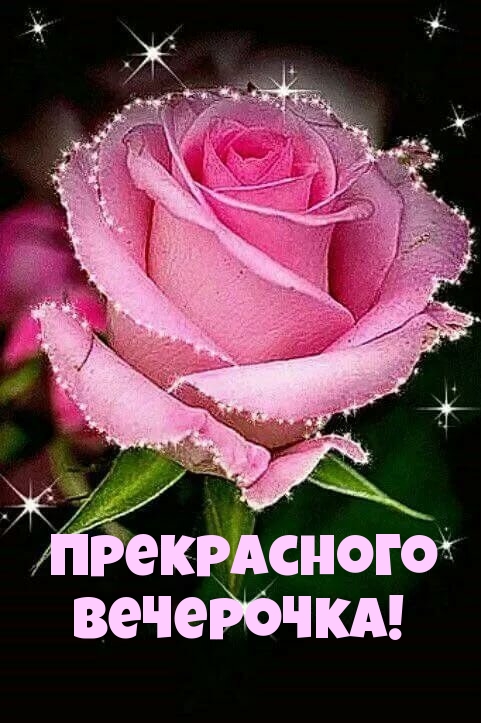 Прекрасного вечерочка!