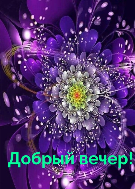 Добрый вечер!