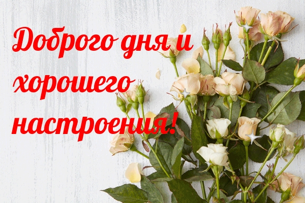 Доброго дня и хорошего настроения!