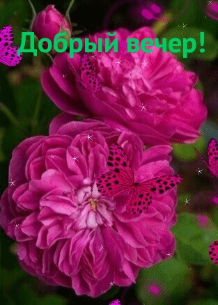 Добрый вечер!