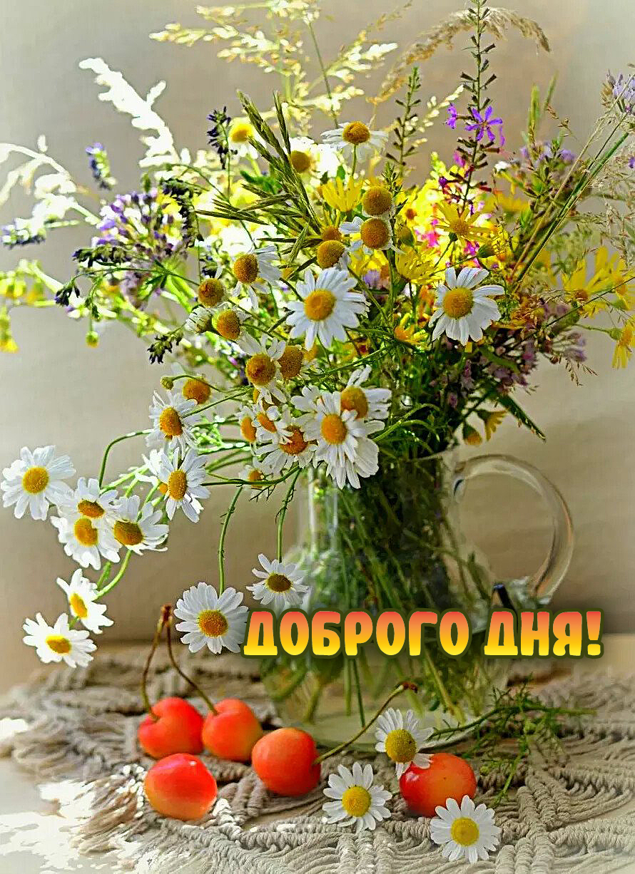 Доброго дня!