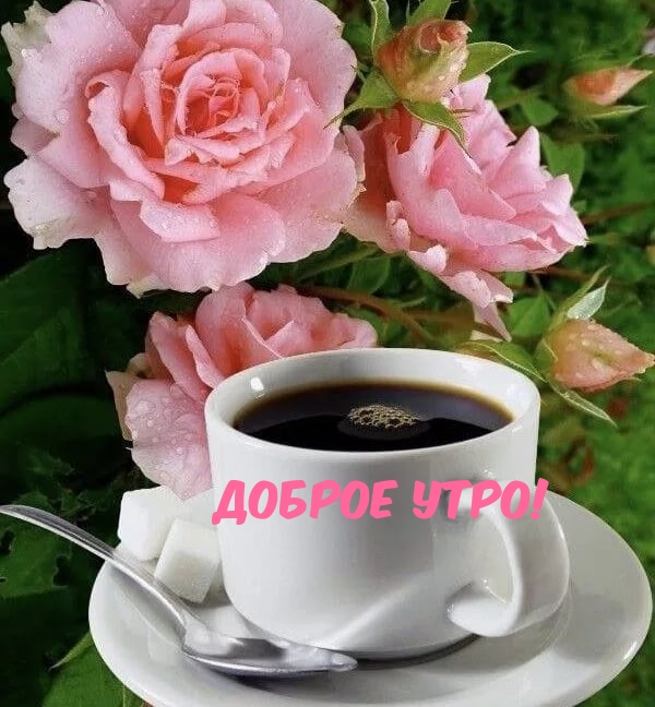 Картинки с надписями.  Доброе утро!.