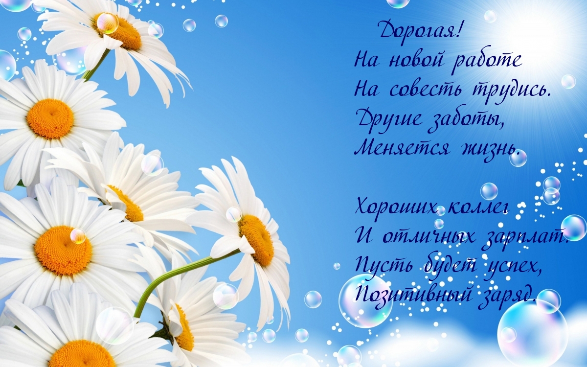 Дорогая! На новой работе…