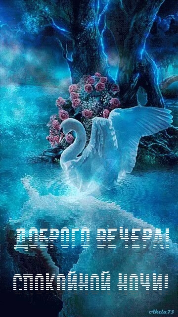 Доброго вечера! Спокойной ночи!