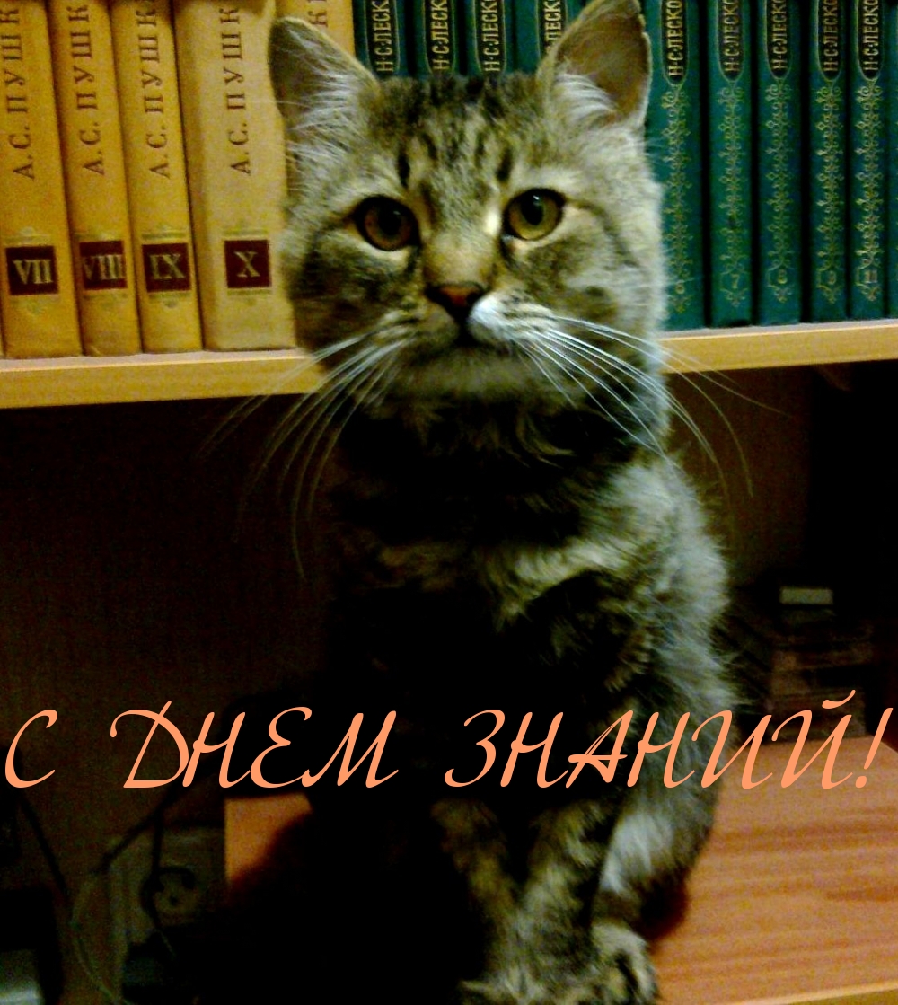 С ДНЕМ ЗНАНИЙ!