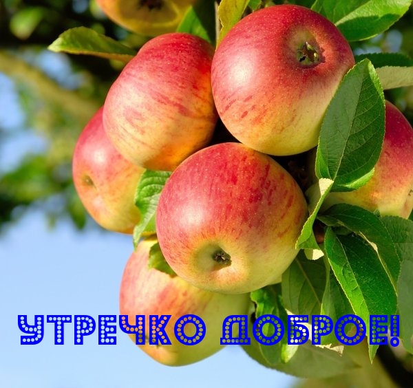 Утречко доброе!