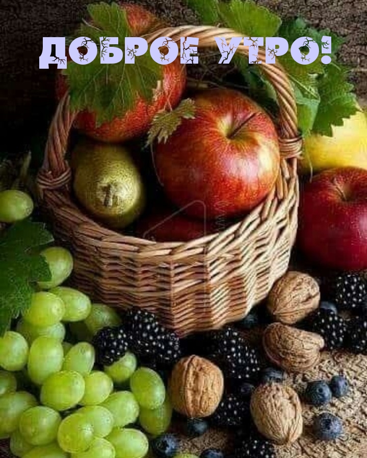 Доброе утро!