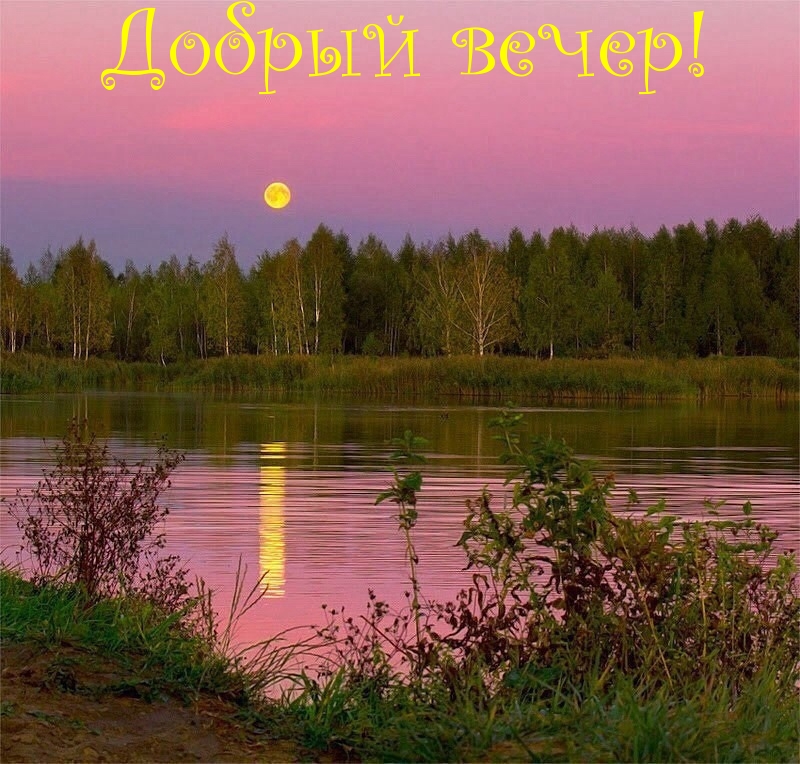 Добрый вечер!