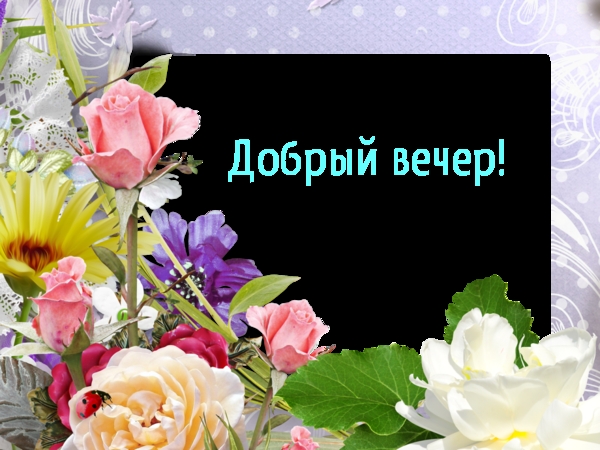 Добрый вечер!