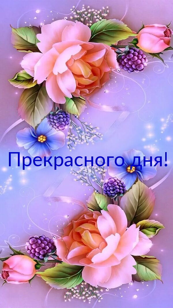 Прекрасного дня!