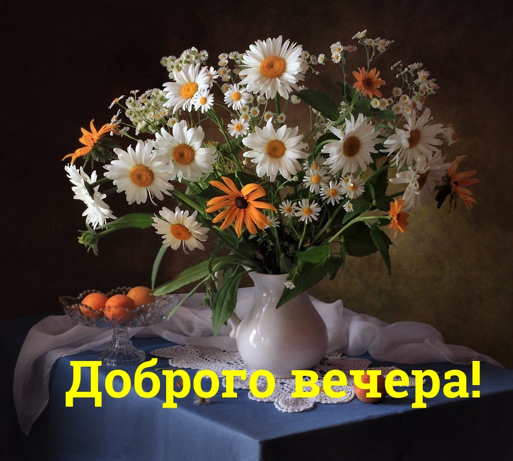 Доброго вечера!