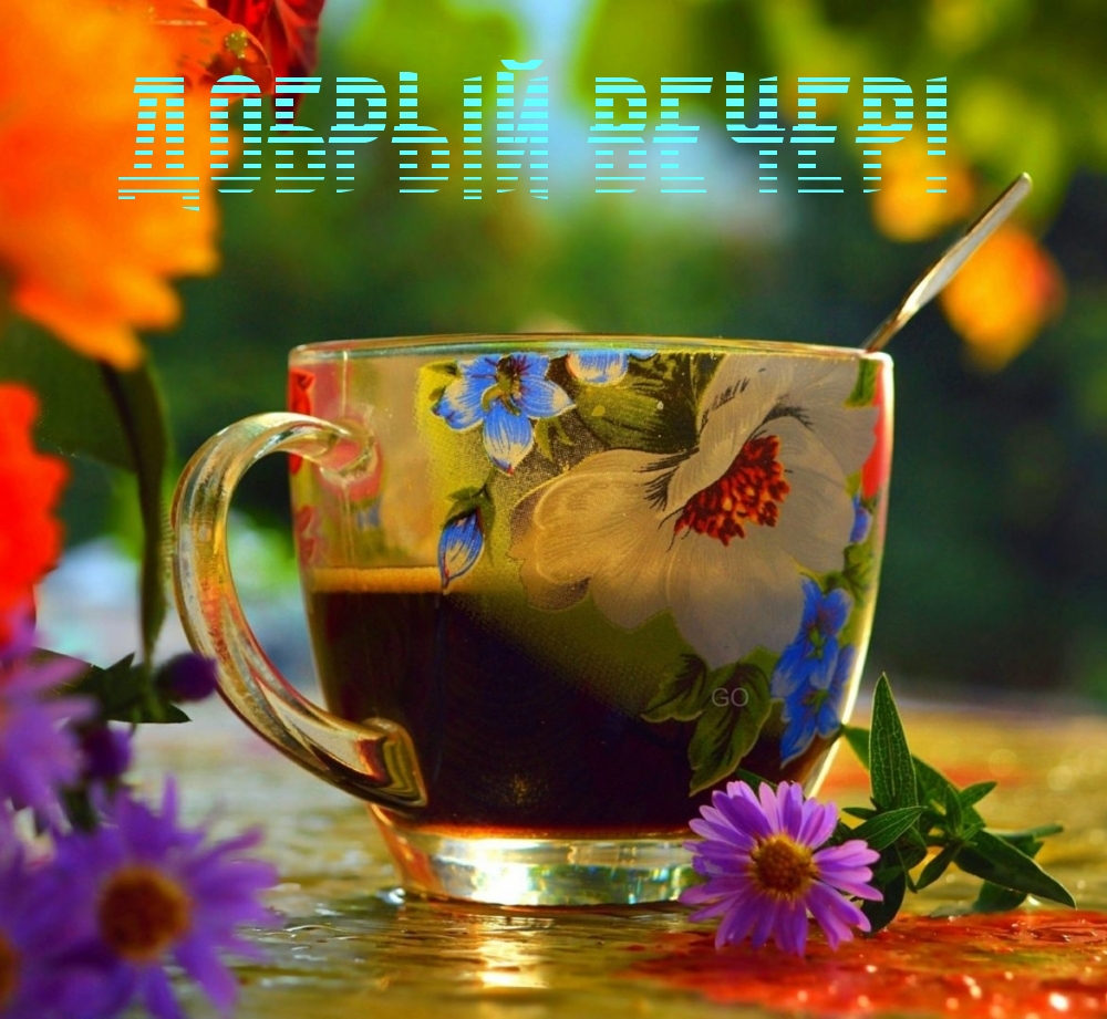 Добрый вечер!