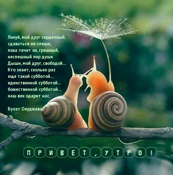 Привет! В субботнее утро.