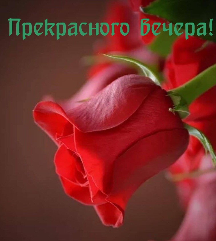 Прекрасного вечера!