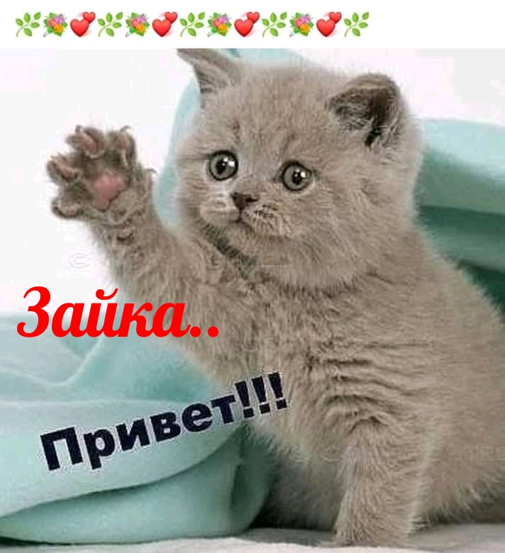 Зайка.. Привет!