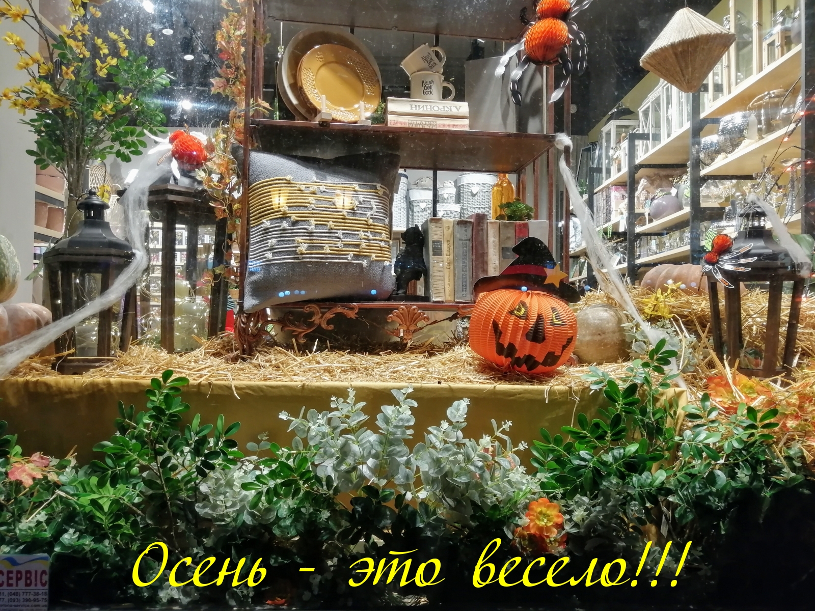 Осень — это весело!