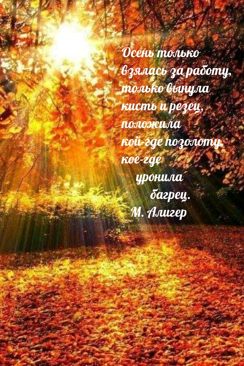 Осень только взялась за работу…