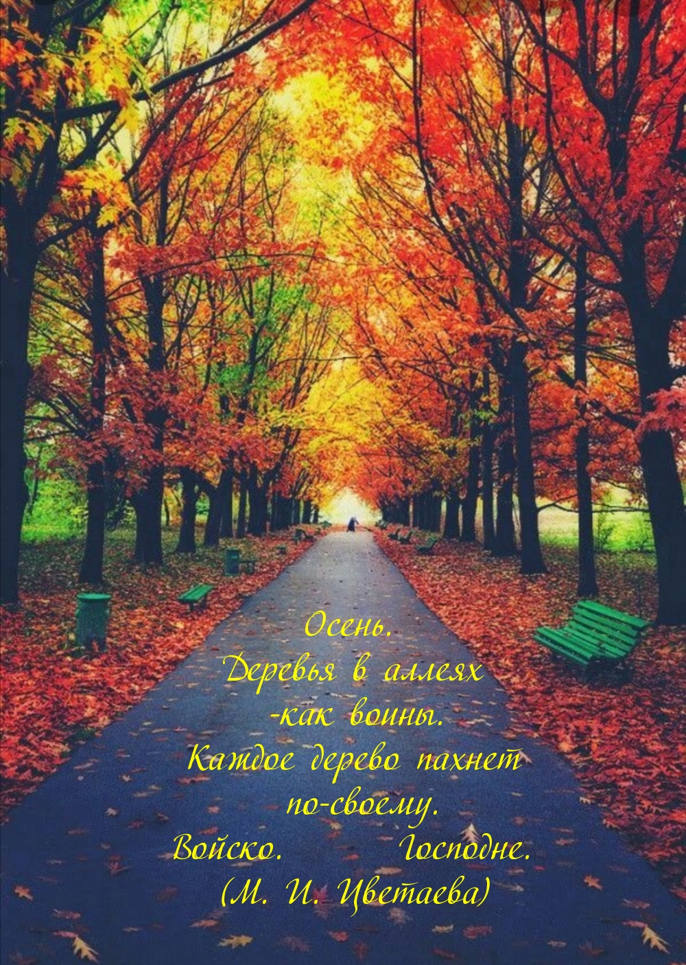 Осень. Деревья в аллеях -как воины