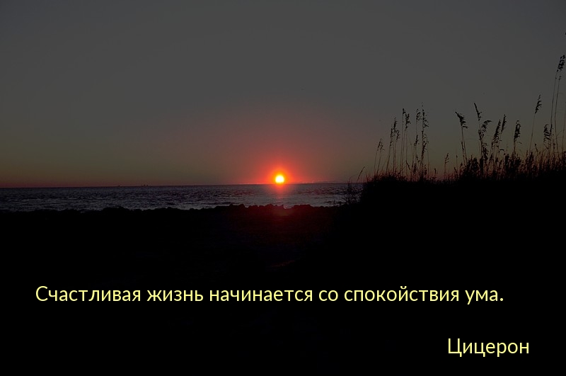 Счастливая жизнь начинается с…