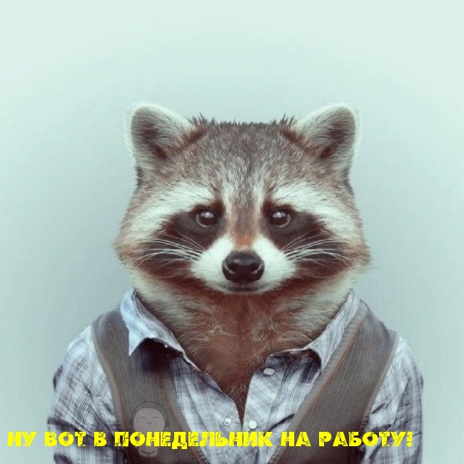 НУ вот в ПОНЕДЕЛЬНИК НА РАБОТУ!