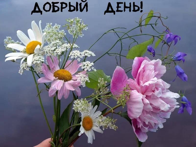 Добрый день!