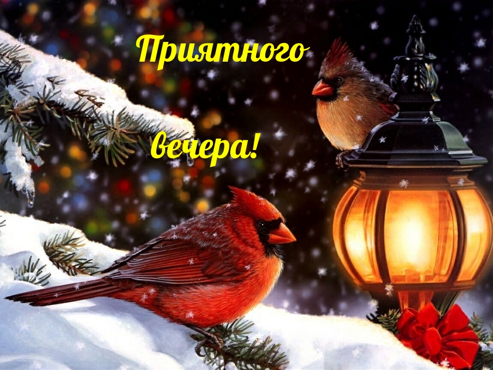 Приятного вечера!