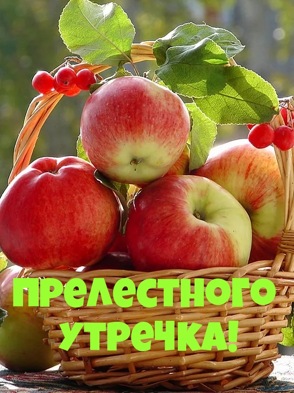 Прелестного утречка!