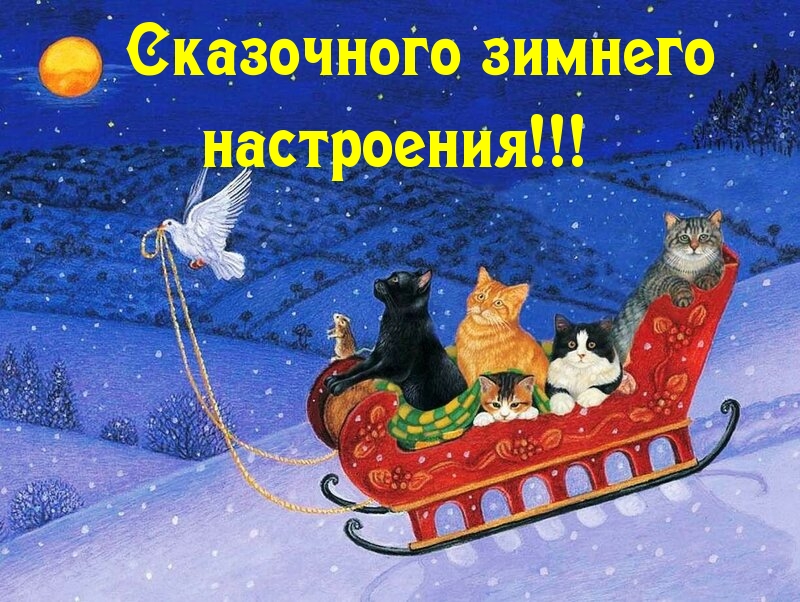 Сказочного зимнего настроения!