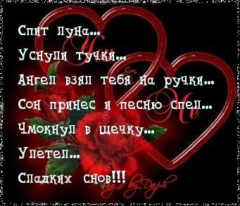 Спит луна… Сладких снов!