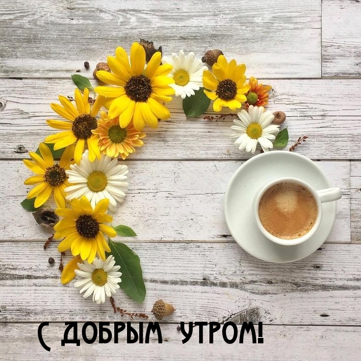 С добрым утром!