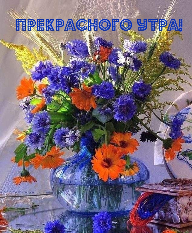 Прекрасного утра!