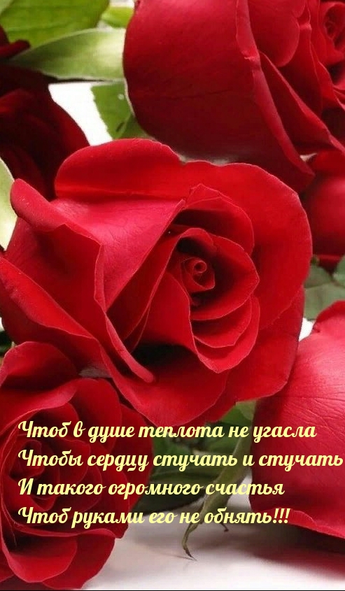 Чтоб в душе теплота не угасла