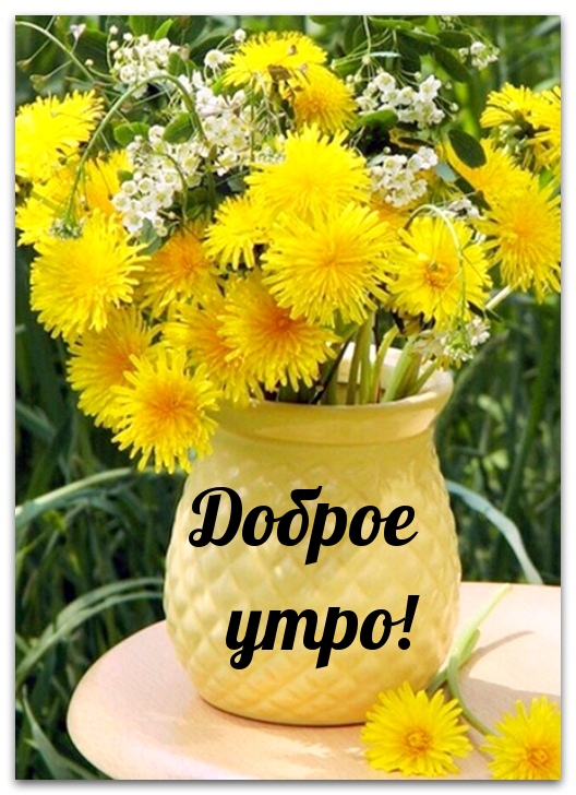 Доброе утро!