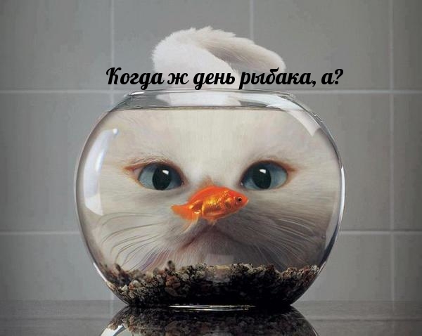 Когда ж день рыбака, а?