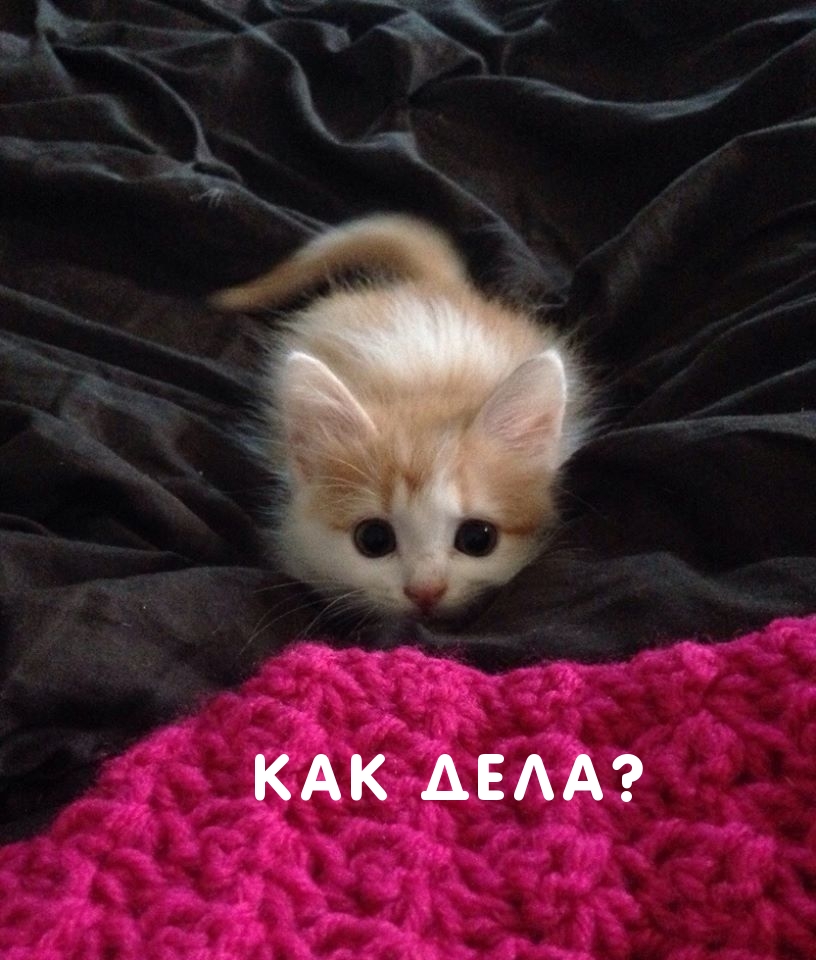 Как дела?