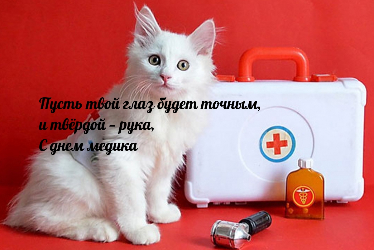 Пусть твой глаз будет точным