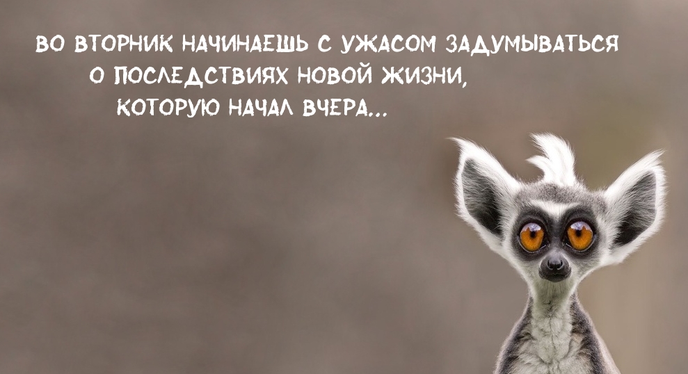 Во вторник начинаешь с ужасом задумываться