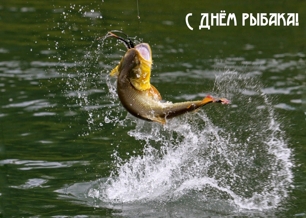 С Днём рыбака!