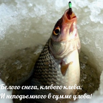 Белого снега, клевого клева
