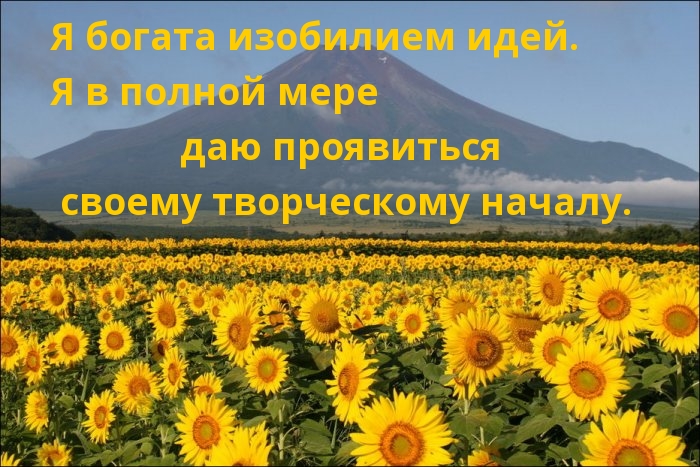 Я богата изобилием идей