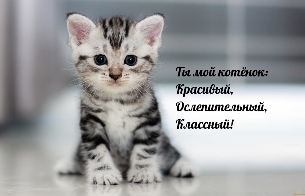 Картинки с надписями.  Ты мой котёнок.