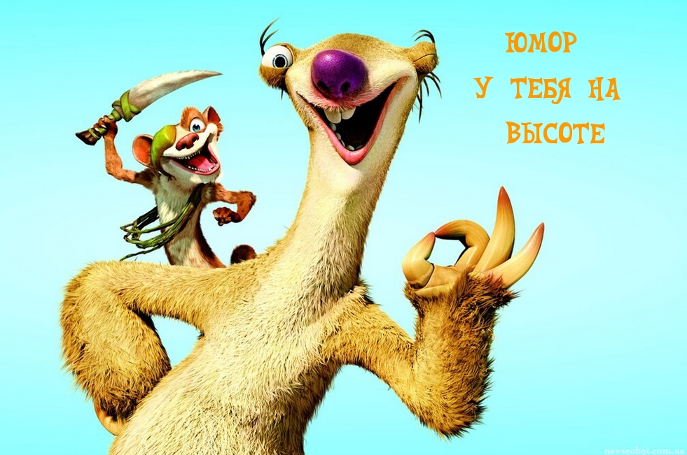 ЮМОР У ТЕБЯ НА ВЫСОТЕ