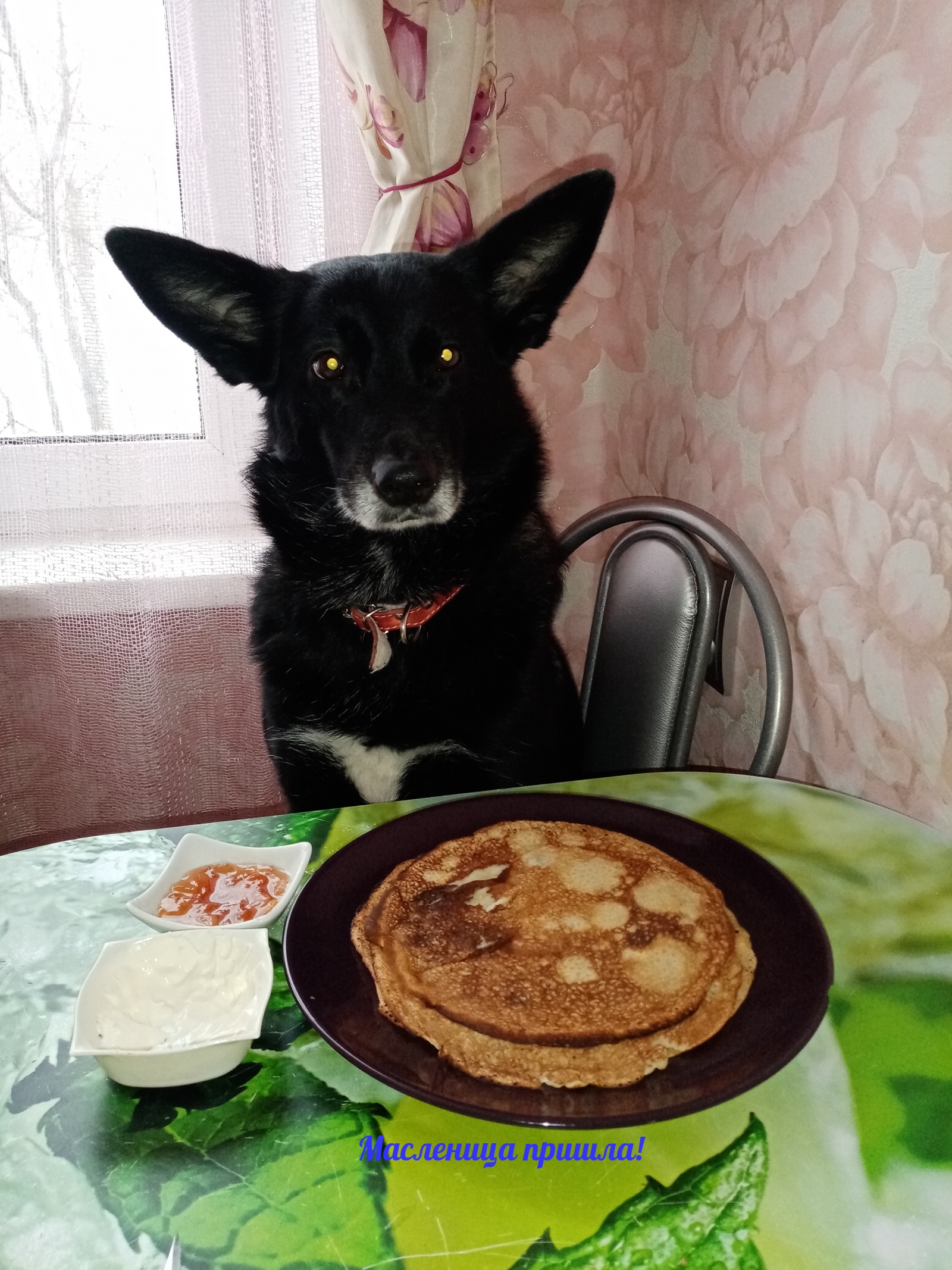 Масленица пришла!