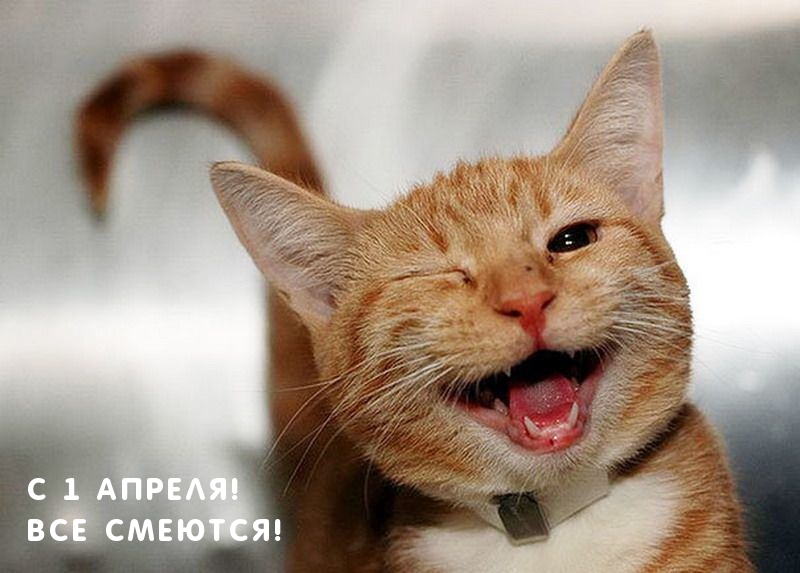 С 1 апреля! Все смеются!