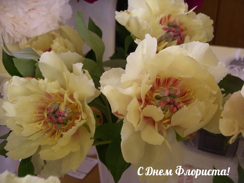 С Днем Флориста!