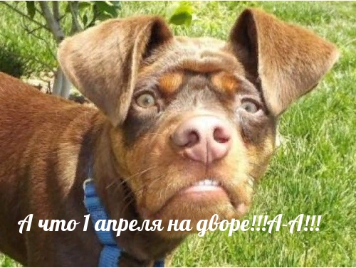 А что 1 апреля на дворе!А-А!