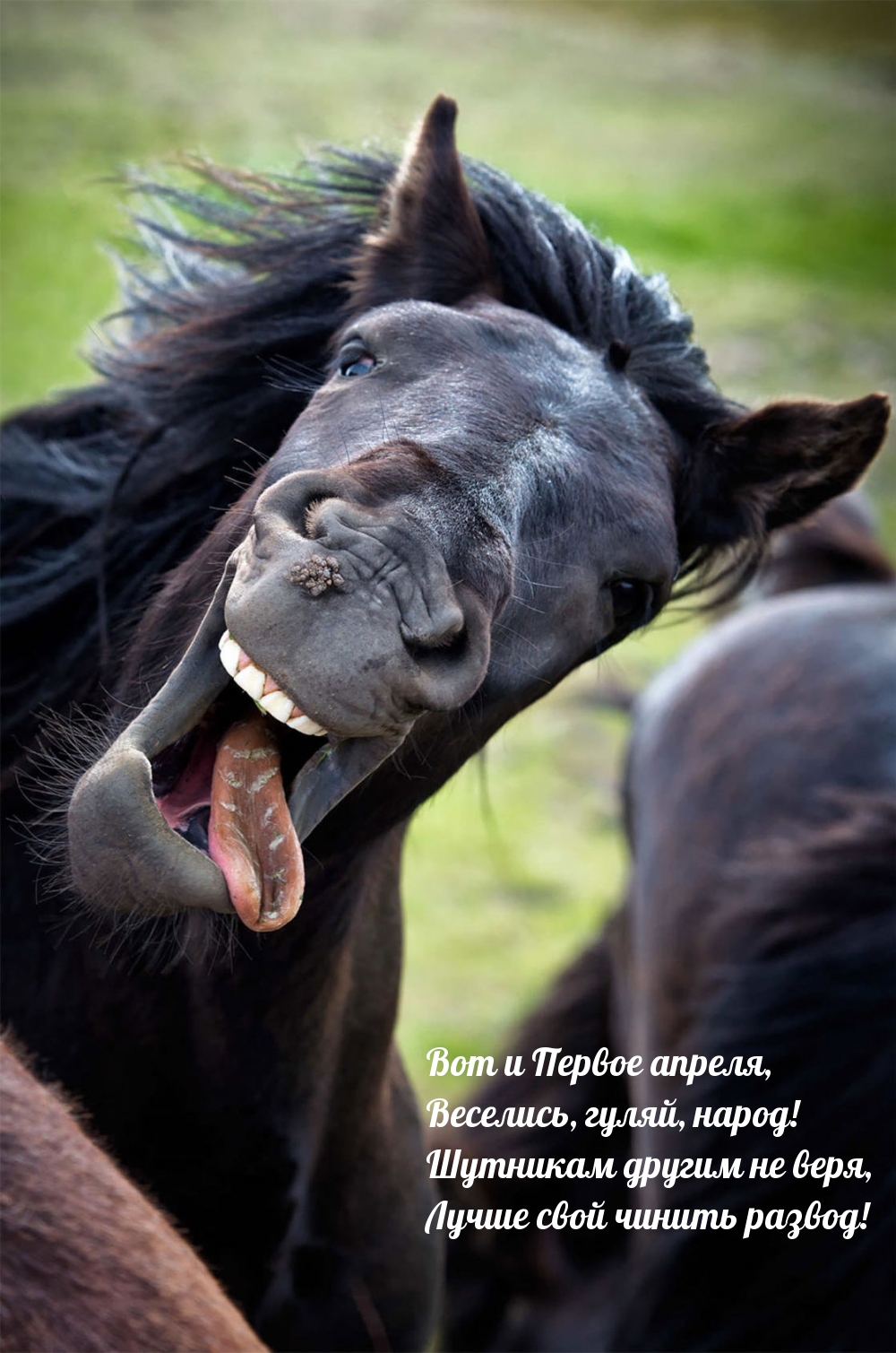 Вот и Первое апреля, веселись, гуляй, народ!